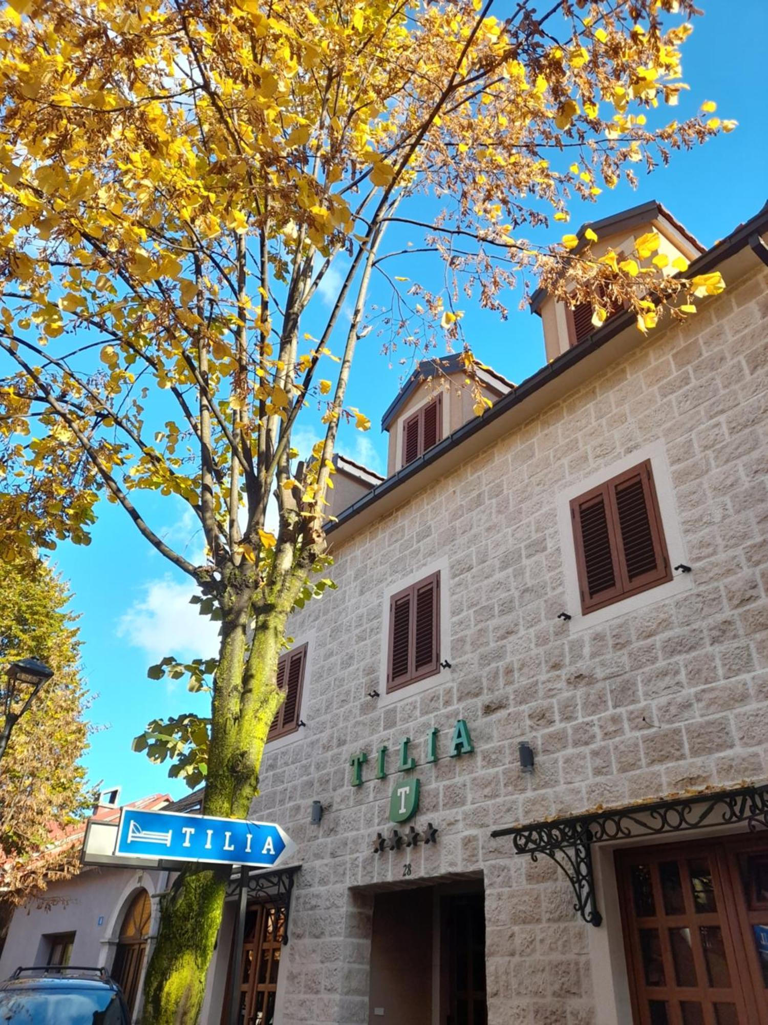 Tilia Hotel Cetinje Exterior photo